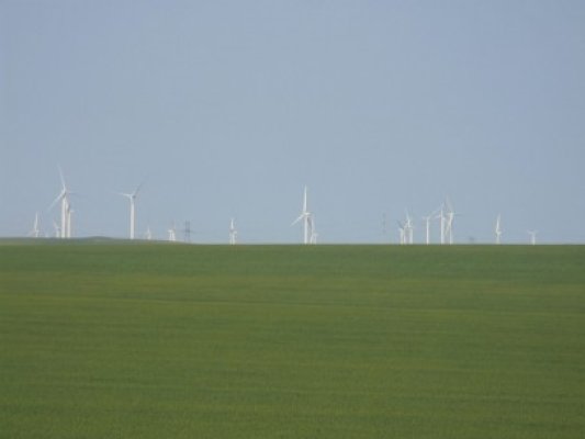 Paznicii din parcul eolian au interdicţia de a părăsi localitatea